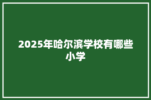 2025年哈尔滨学校有哪些小学