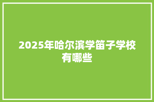 2025年哈尔滨学笛子学校有哪些