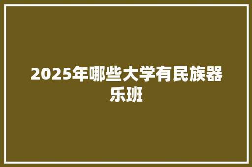 2025年哪些大学有民族器乐班