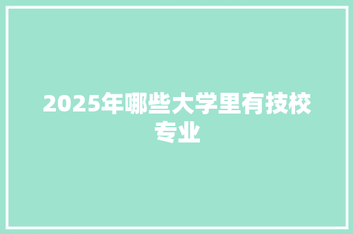 2025年哪些大学里有技校专业 未命名