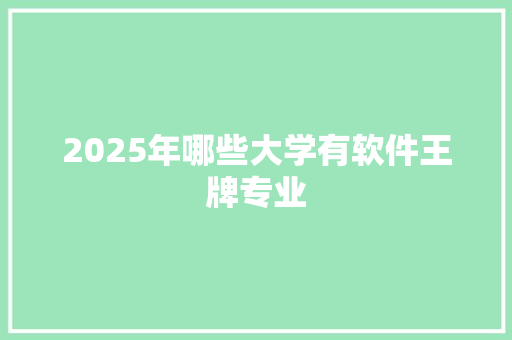 2025年哪些大学有软件王牌专业