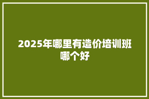 2025年哪里有造价培训班哪个好