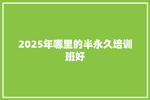 2025年哪里的半永久培训班好