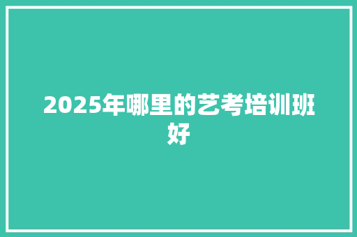 2025年哪里的艺考培训班好 未命名