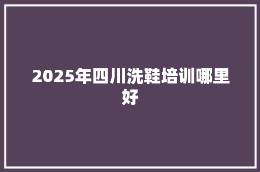 2025年四川洗鞋培训哪里好