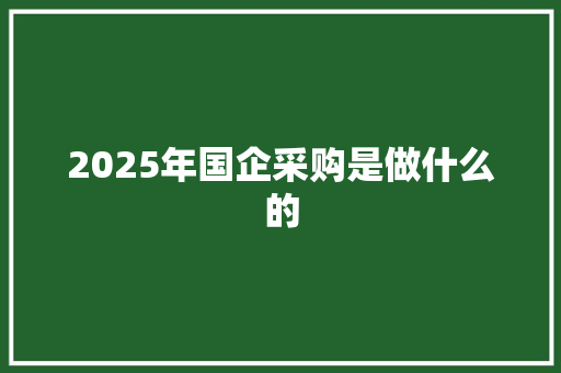 2025年国企采购是做什么的