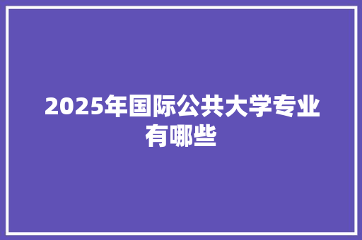 2025年国际公共大学专业有哪些