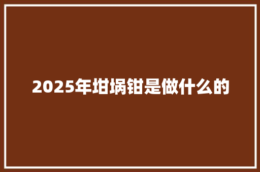 2025年坩埚钳是做什么的