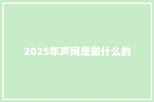 2025年声网是做什么的