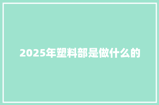 2025年塑料部是做什么的 未命名