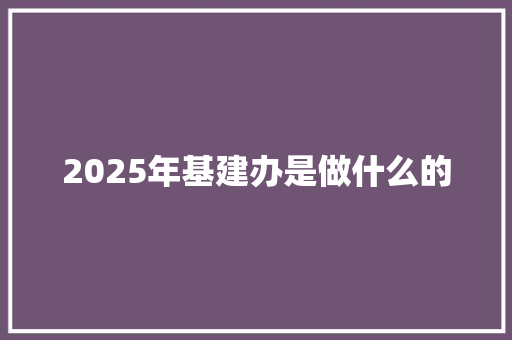 2025年基建办是做什么的 未命名