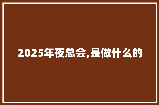 2025年夜总会,是做什么的