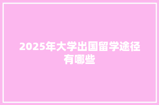 2025年大学出国留学途径有哪些