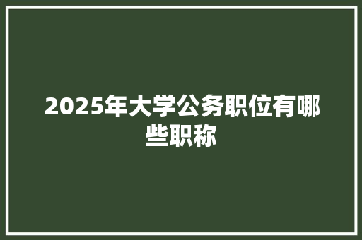 2025年大学公务职位有哪些职称