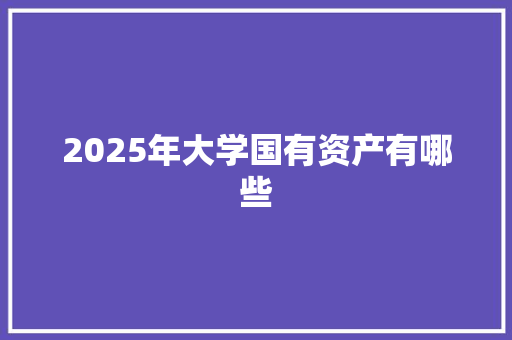 2025年大学国有资产有哪些 未命名