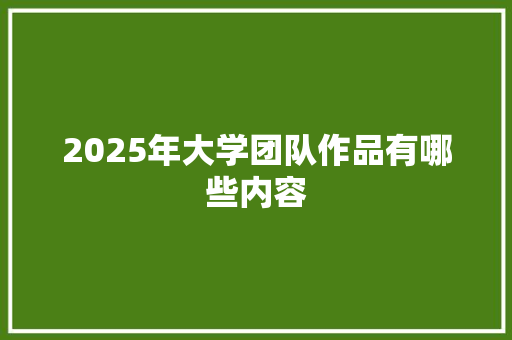 2025年大学团队作品有哪些内容