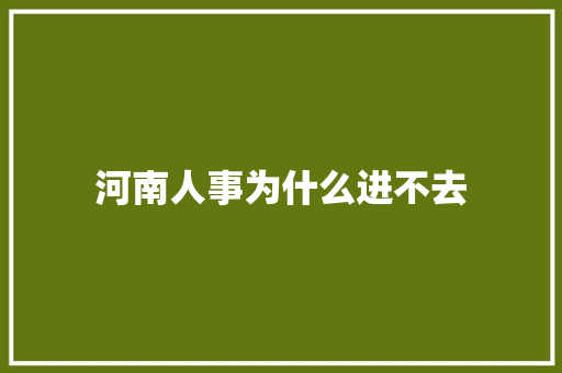 河南人事为什么进不去