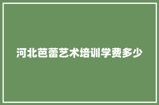 河北芭蕾艺术培训学费多少