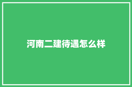 河南二建待遇怎么样