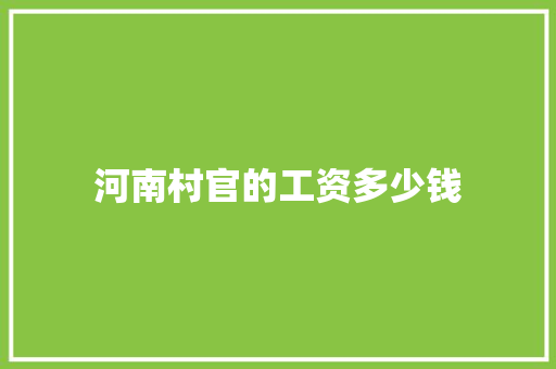 河南村官的工资多少钱