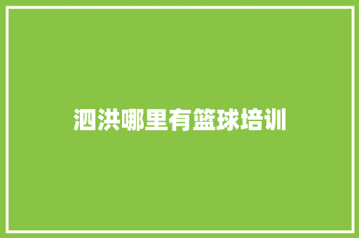 泗洪哪里有篮球培训 未命名