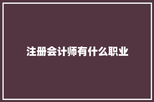 注册会计师有什么职业