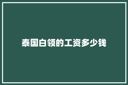 泰国白领的工资多少钱 未命名