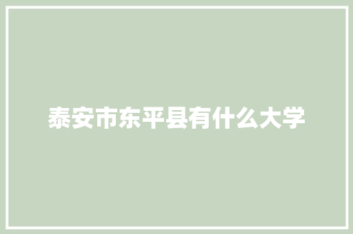 泰安市东平县有什么大学 未命名