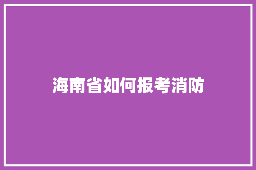 海南省如何报考消防