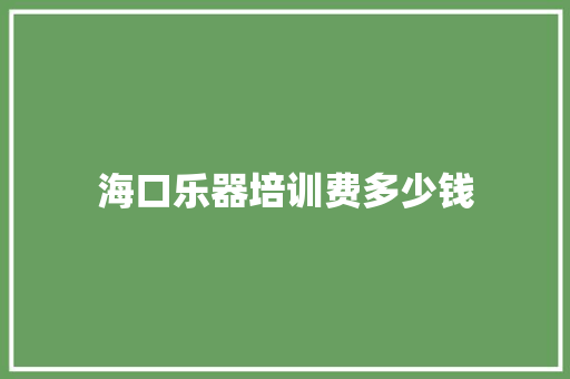 海口乐器培训费多少钱