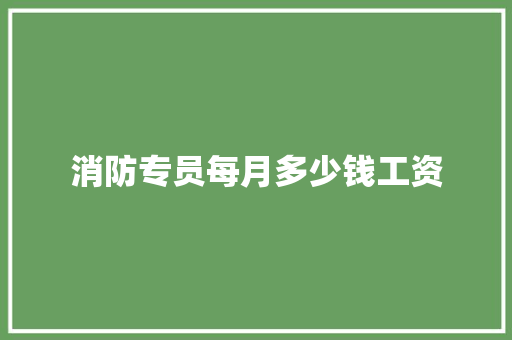 消防专员每月多少钱工资