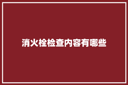 消火栓检查内容有哪些 未命名