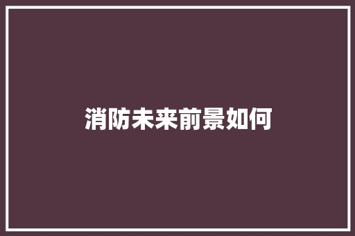 消防未来前景如何 未命名