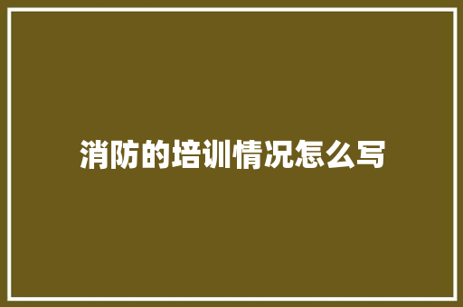 消防的培训情况怎么写 未命名