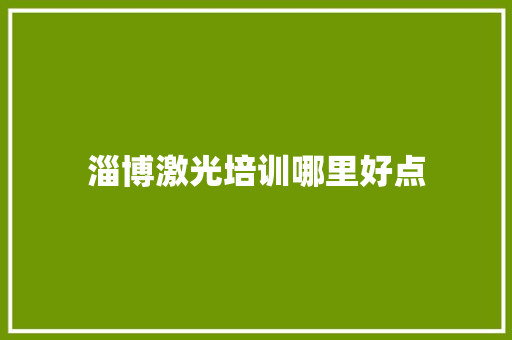 淄博激光培训哪里好点