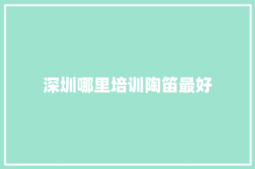 深圳哪里培训陶笛最好