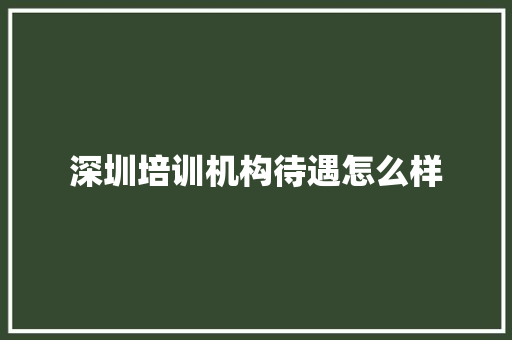 深圳培训机构待遇怎么样 未命名