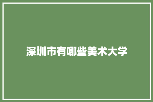 深圳市有哪些美术大学