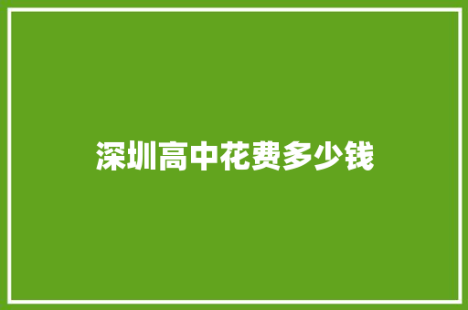 深圳高中花费多少钱