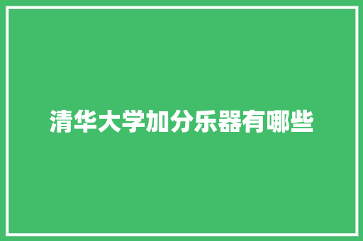 清华大学加分乐器有哪些