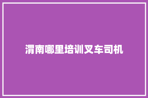 渭南哪里培训叉车司机 未命名