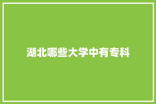 湖北哪些大学中有专科