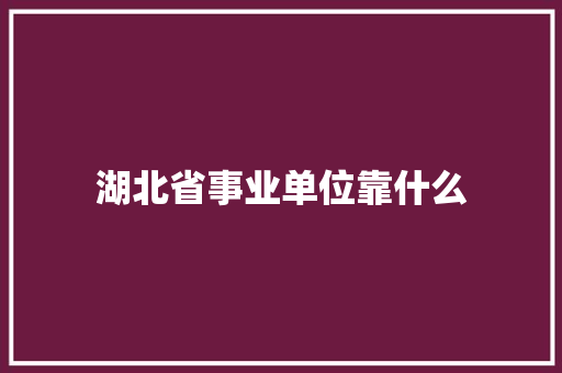 湖北省事业单位靠什么