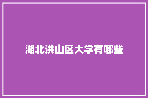 湖北洪山区大学有哪些