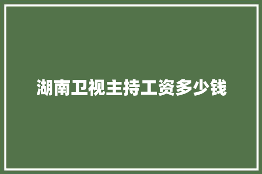 湖南卫视主持工资多少钱 未命名