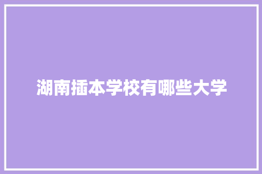 湖南插本学校有哪些大学