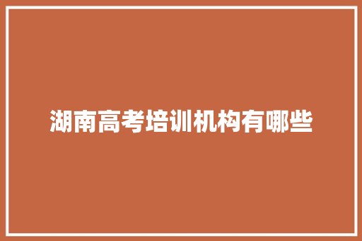 湖南高考培训机构有哪些