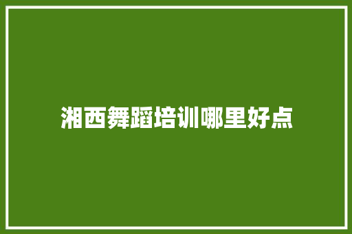 湘西舞蹈培训哪里好点 未命名