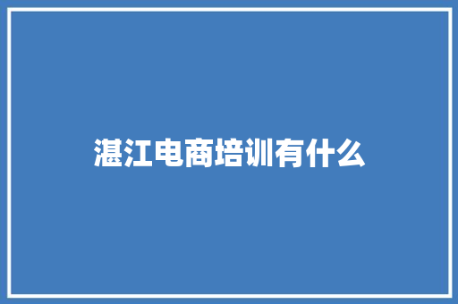 湛江电商培训有什么