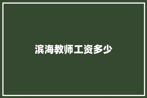 滨海教师工资多少